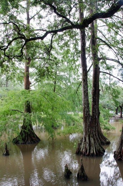 New Iberia City Park